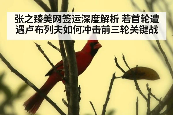 张之臻美网签运深度解析 若首轮遭遇卢布列夫如何冲击前三轮关键战（kaiyun）